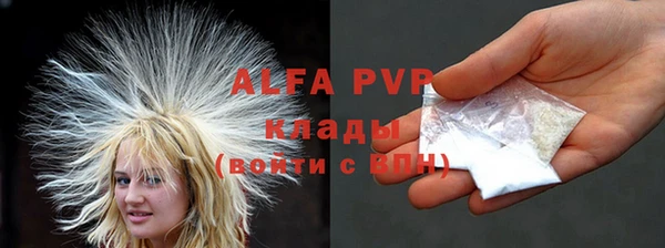 сатива Дмитриев