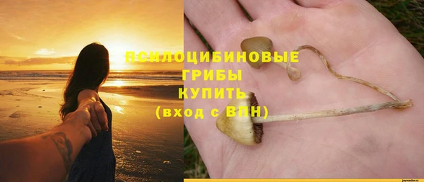 ПСИЛОЦИБИНОВЫЕ ГРИБЫ Дегтярск