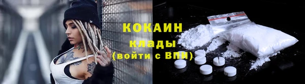 сатива Дмитриев