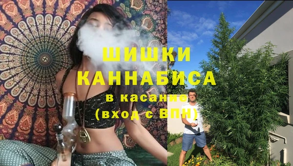 сатива Дмитриев