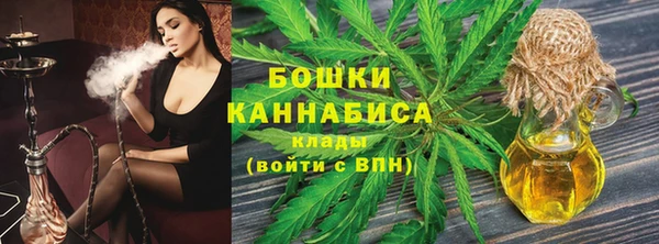сатива Дмитриев