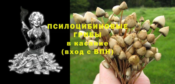 сатива Дмитриев