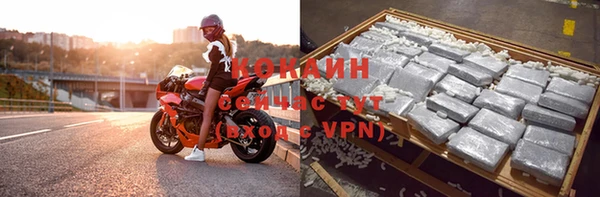 соль курить ск Дмитровск