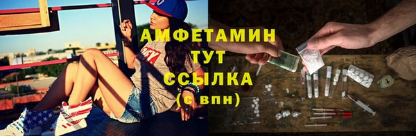 сатива Дмитриев