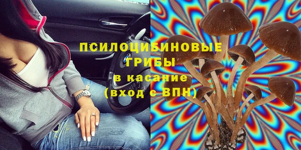 сатива Дмитриев