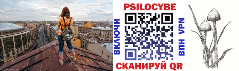 Галлюциногенные грибы прущие грибы  Зеленоградск 